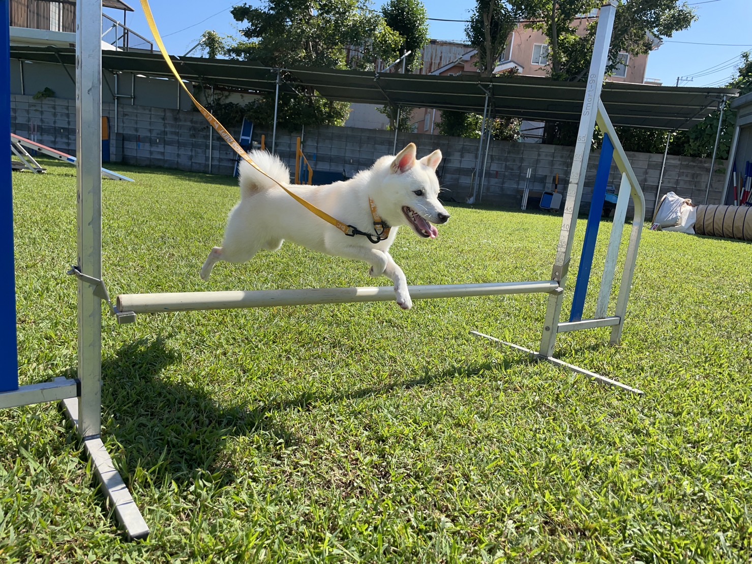 アジリティ Twitter Search Twitter