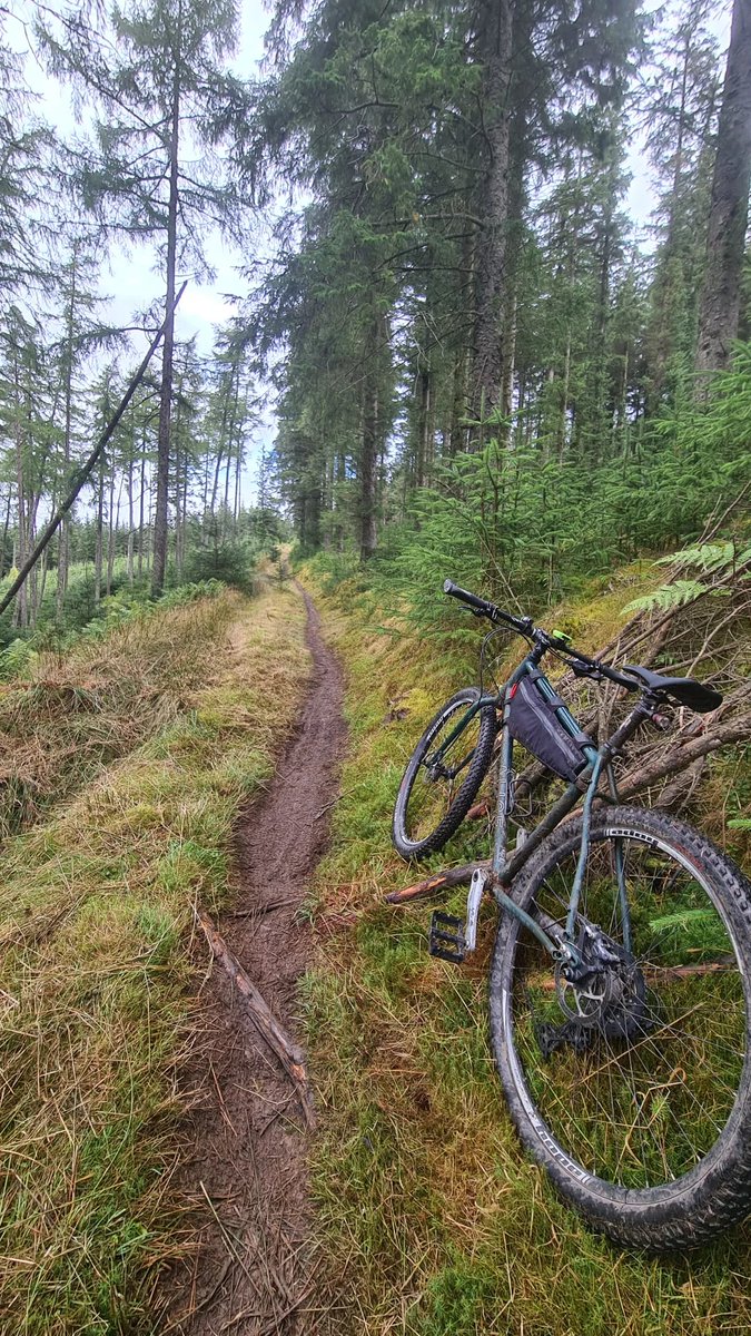 Do you like a good climb?

#Veloeye #Stolenbike #Beatthethieves