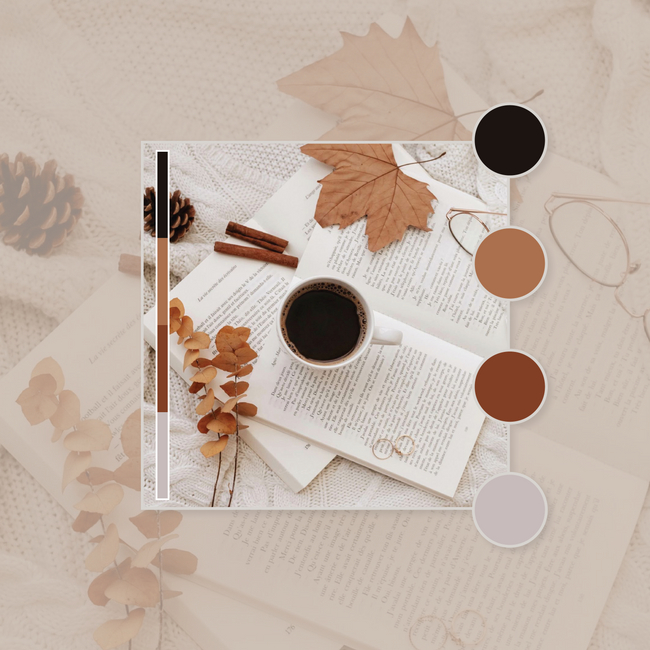 GraphicsByAmbre's tweet photo. Laissons l'ambiance automnale s'installer 🍂

Je vous présente aujourd'hui une nouvelle palette de couleurs, mais cette fois-ci, inspirée d'une photo ! 🍁

__
#ambiance #palette #couleurs #couleur #mood #moodboard #automne #graphiste #graphisme #design #graphicdesign https://t.co/GBwrzIsc2d