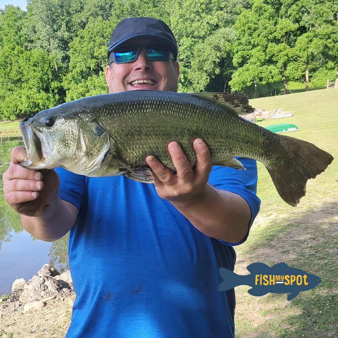 You do not need a fishing license when you fish from our marketplace. Why may you ask? Our ponds are privately owned! Learn more  @fishmyspot.com #fishmyspot #gofish #fishing #fishingfriday #fishnow #gofish 

*Real catch at Hidden Pond in Clinton.