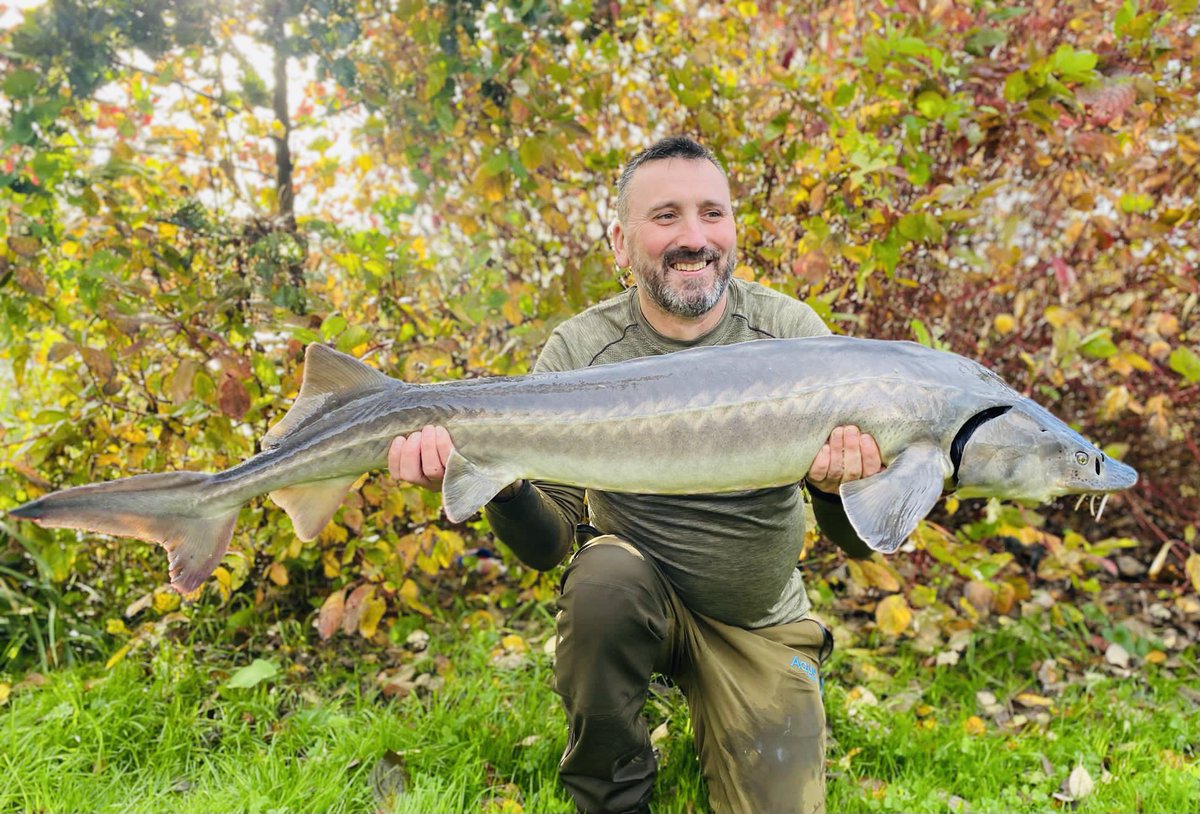 John Mclaughlan tweet media