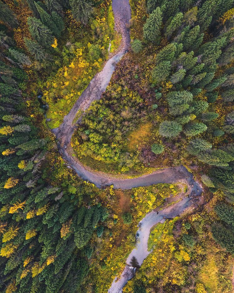 Fernie Fix Magazine tweet media