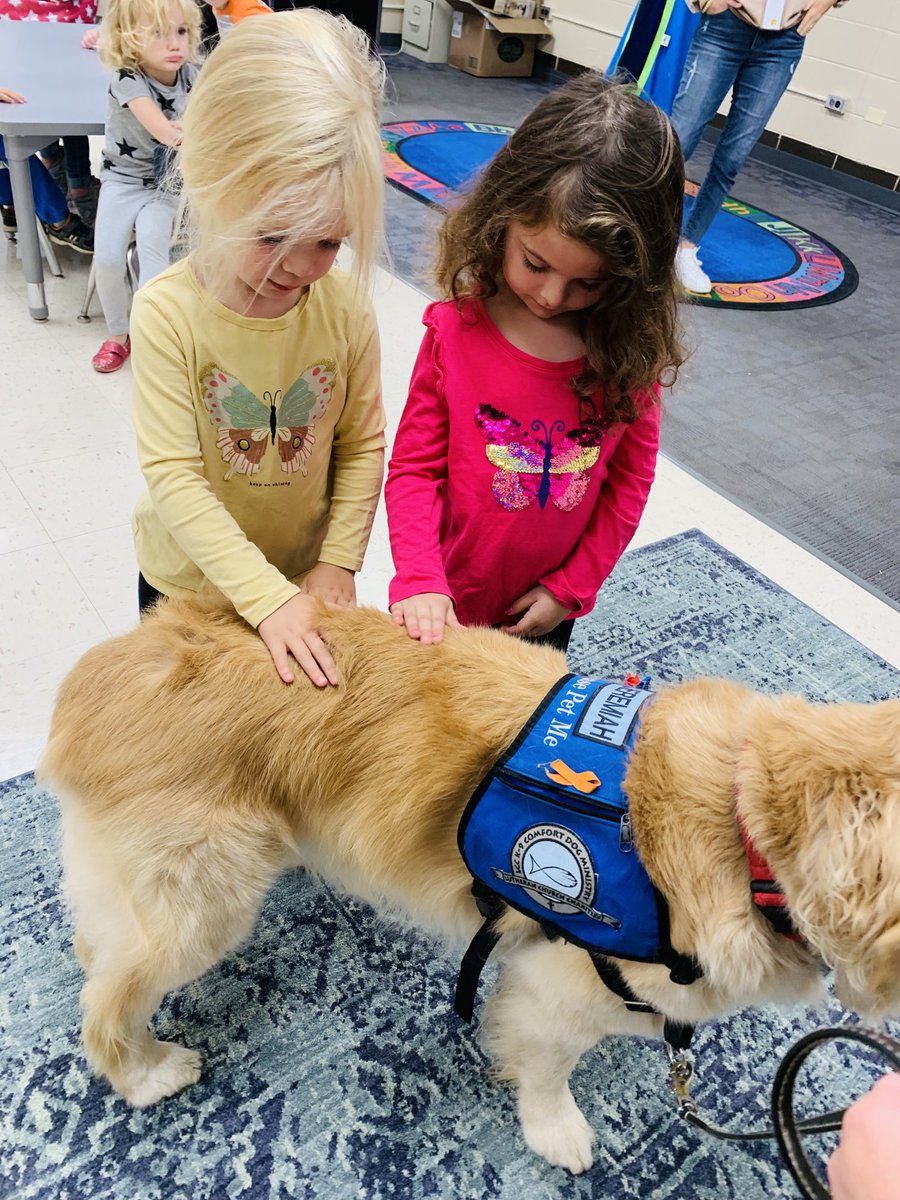 DesandreTaylor's tweet photo. Perfect day to have Jeremiah bring comfort to Oakwood! 🐾♥️ #sd113a #owbears #owstrong ⁦ https://t.co/s2VOOnXBvm