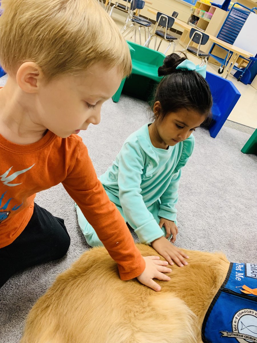 DesandreTaylor's tweet photo. Perfect day to have Jeremiah bring comfort to Oakwood! 🐾♥️ #sd113a #owbears #owstrong ⁦ https://t.co/s2VOOnXBvm