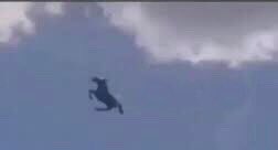 Vuela algo JuanG #vuelaaltojuang