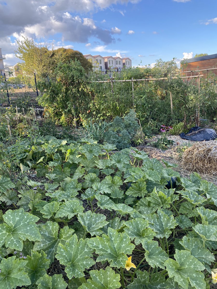 izahardy's tweet photo. Inauguration des jardins partagés des #Pradettes à #Toulouse : un joli projet imaginé et porté par les habitant-e-s, un îlot de fraîcheur et du lien social dans un quartier en pleine mutation. https://t.co/tglQPfkzbH