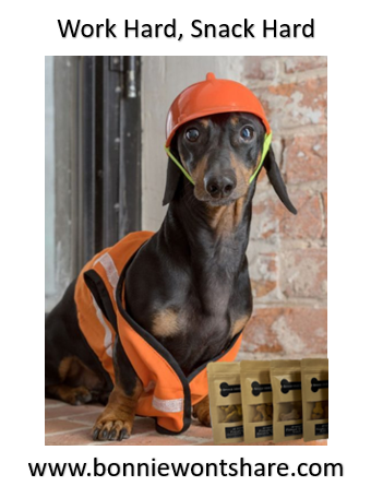 won_share's tweet photo. #dogsoffacebook #tasty #dogsoflinkedin #dogs #dogsofinstagram #bonniewontshare #dogsoffacebookofinstagram #Puppies #doglovers #monday #mondaymood https://t.co/fpwbvErJfA