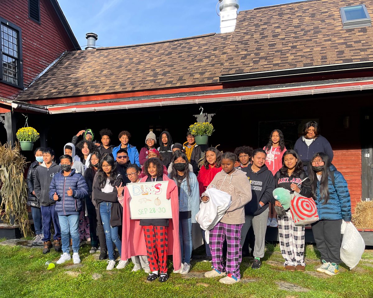 Dual Language MS tweet media