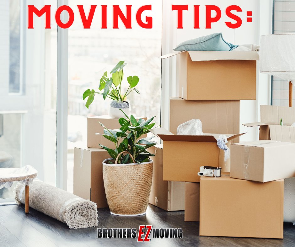 brothersEZmover's tweet image. We have many years of moving tips to help!
Don't let your move plan be overwhelming. When you need to move, we have tips and tricks to help lessen the load! Check out all of our blog posts! bit.ly/3Kz2yRs
 #MovingTips #MovingBlog  #BrothersEZMoving