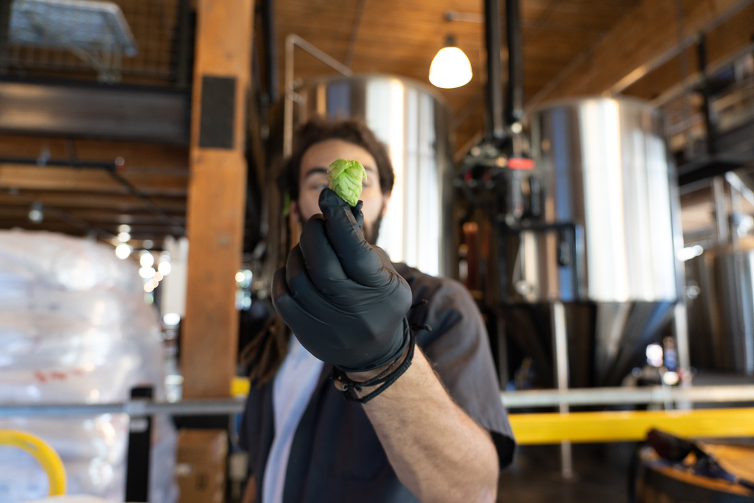 Optimism Brewing Co. tweet media