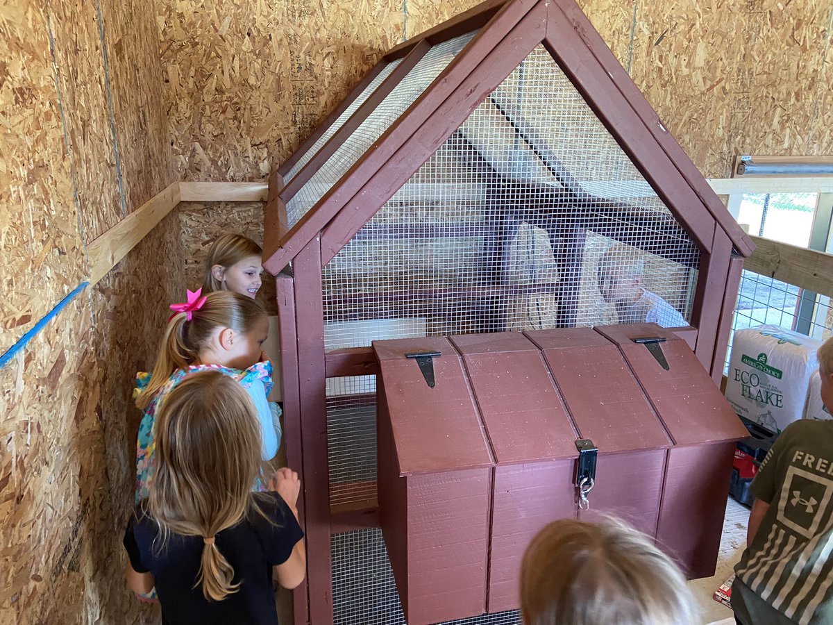 Sheiladokter's tweet photo. Our Rose Park Ranch is coming together! #ExcitedKids #HCmaroons #DokterFirstGrade https://t.co/kK7w1pYJVK
