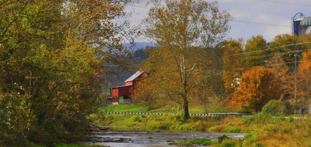 Thehappening_rc's tweet photo. #blueridge #virginia #moutain #rockbridgecountyva #fall #colors #parkway #memories #moutainlife #hike #hiking #longwalk #peaceful #attraction #viist #hometown #homemade https://t.co/pfqsTHv34Z