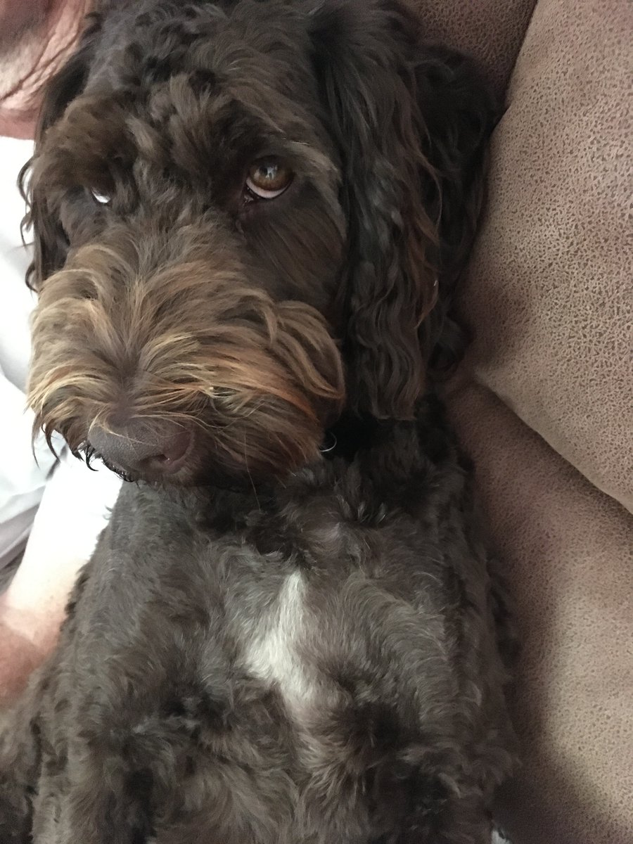 Archimedes of Somerset tweet media