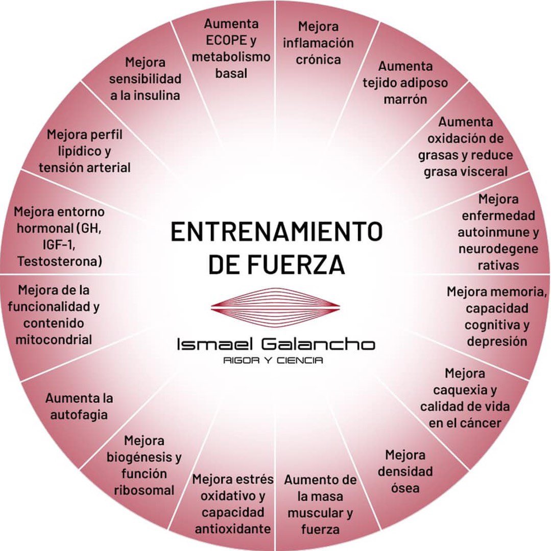 ¿Hay algo que el entrenamiento de fuerza no pueda hacer?