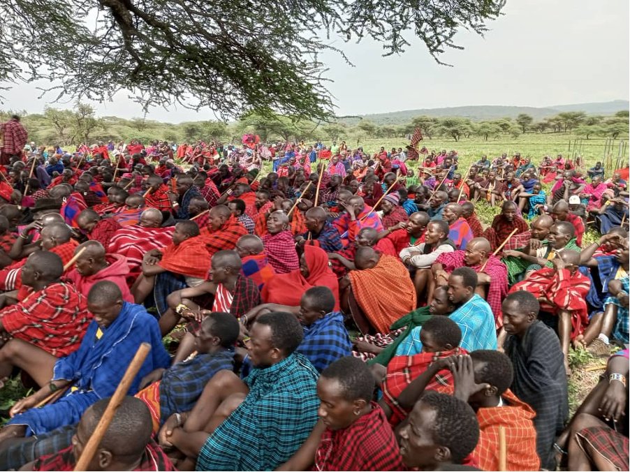 Oakland Institute tweet media