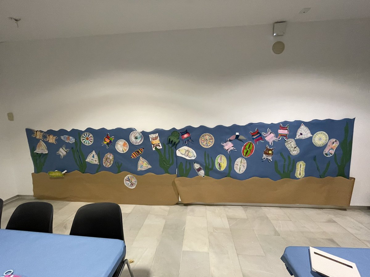 IMEDEA_UIB_CSIC's tweet photo. TALLER
#NocheEuropeaInvestigadores
‘Wonderful Diatoms’ con @FontSalvador y @NeiNeiNai
#OceanNightCSIC @MSCActions @HorizonteEuropa @ESCIENCIA @FundlaCaixa
#NitEuropeadelaInvestigació #NitRecerca22 #nightspain #EuropeanResearchersNight https://t.co/hcaj4BI3xu