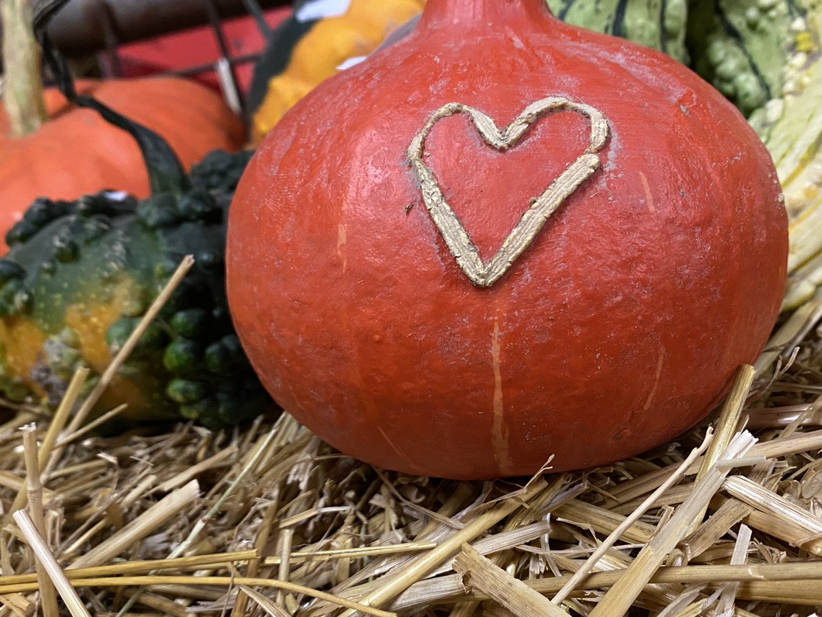 WbOnstaheerd's tweet photo. Pompoenenmarkt. Zaterdag 1 oktober. Tussen 10:00 en 17:00 uur. Pompoenen, soep, koffie en appelgebak, speurtocht. Wees welkom! Singelweg 2 te Sauwerd. #pompoenmarkt #herfst #uitje https://t.co/8ToSRBkbHb