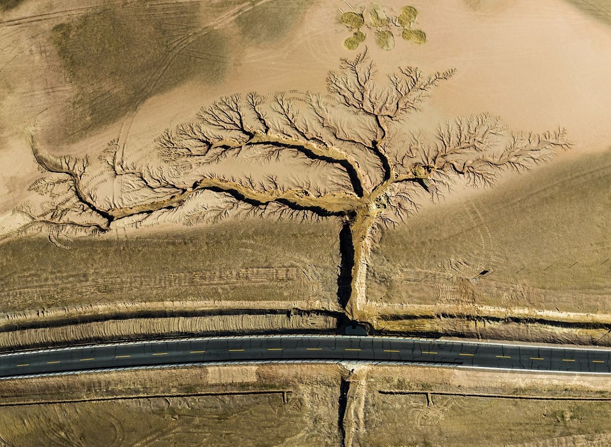 CicloVivo's tweet photo. Concurso elege as melhores fotos de natureza do mundo - Fotógrafo Li Ping passou a noite em um estacionamento de beira de estrada para conseguir esta imagem impressionante, grande vencedora do ... - https://t.co/vL6YMtYyKC https://t.co/mpzzAkx7BR