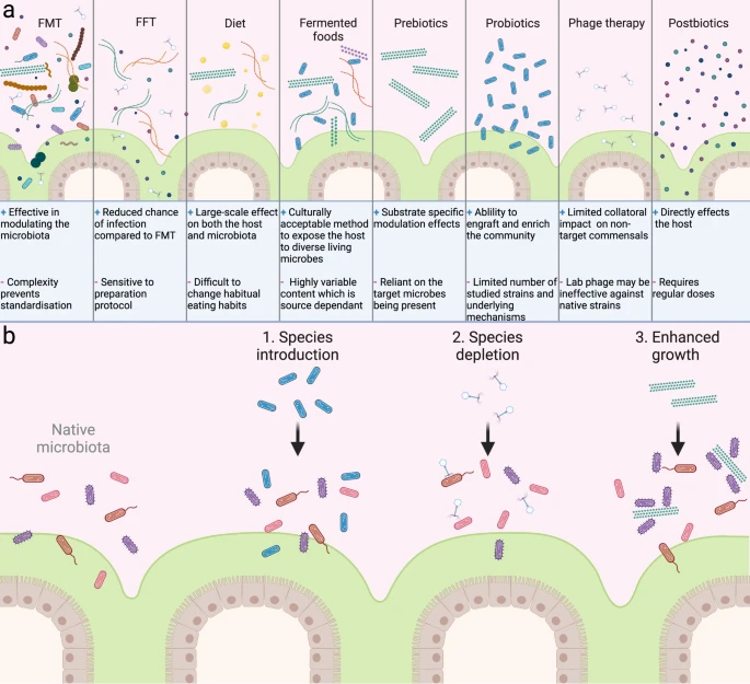 From #Probiotics to #Prebiotics, and Diet to #FecalMicrobiotaTransfer, Thomas Clavel and colleagues review #microbiome-based interventions and their impact on gut ecology and the immune system: nature.com/articles/s4138…