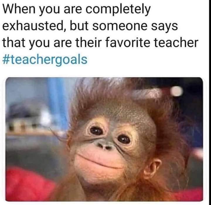 Amberonthemove's tweet image. A little Friday funny! My students bring me so much joy and they make all of the effort worth it! @WeAreHCCS #teachingwithCanvas