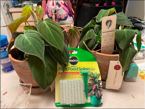 FriendsofPTS's tweet photo. .@Penn_Treaty 6th graders in Ms. Young's science class are doing #ConsumerTesting! They are studying Miracle Grow fertilizer and brand name paper towels. Are they worth the extra money? #handsonlearning https://t.co/QG1AjJaTEK