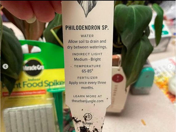 FriendsofPTS's tweet photo. .@Penn_Treaty 6th graders in Ms. Young's science class are doing #ConsumerTesting! They are studying Miracle Grow fertilizer and brand name paper towels. Are they worth the extra money? #handsonlearning https://t.co/QG1AjJaTEK