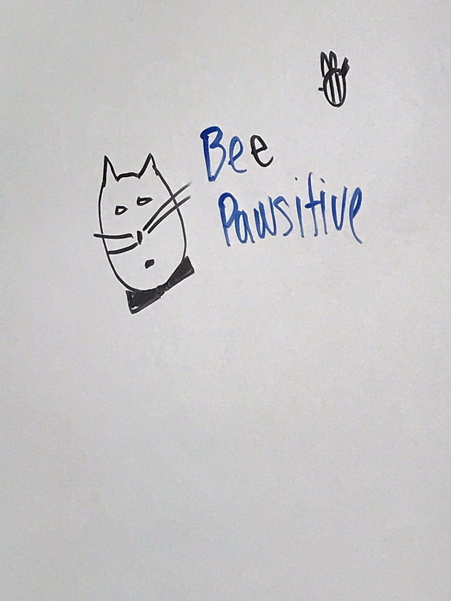 Cahill_English's tweet image. My G block students wanted to leave a message on the board for the kids who will be in my classroom tomorrow taking their SAT exams. 
🐱🐝 #BeePawsitive 
#Cahill125 #SATs