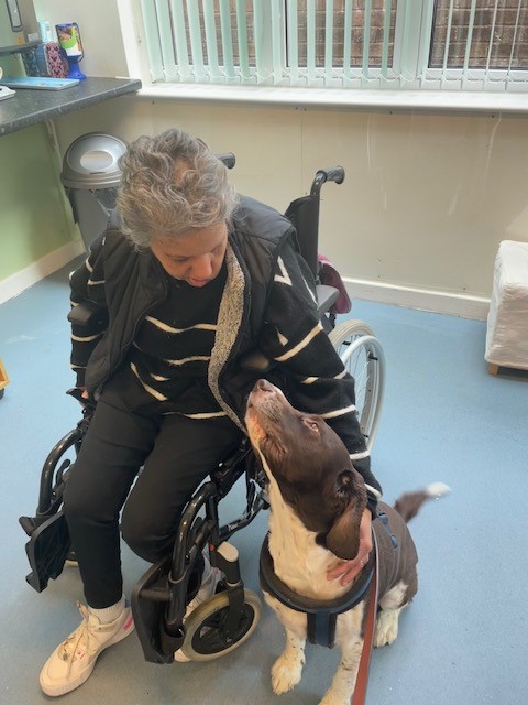 Is this love at first sight?
I'm not sure who adores the other more.
Jaimee, the Springer Spaniel, came to visit the centre this week and I think Ruhi is a super fan!