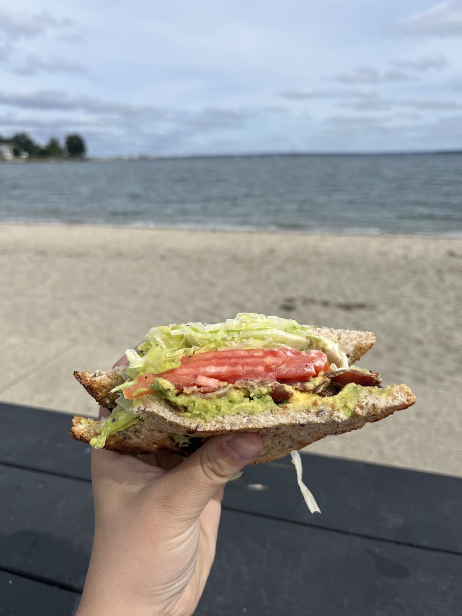 magicsfunny's tweet photo. lunch at the beach today with @cranberrybebe 
i got a BLAT and it was divine 🫶✨🌊 https://t.co/0qVqIYxNwL