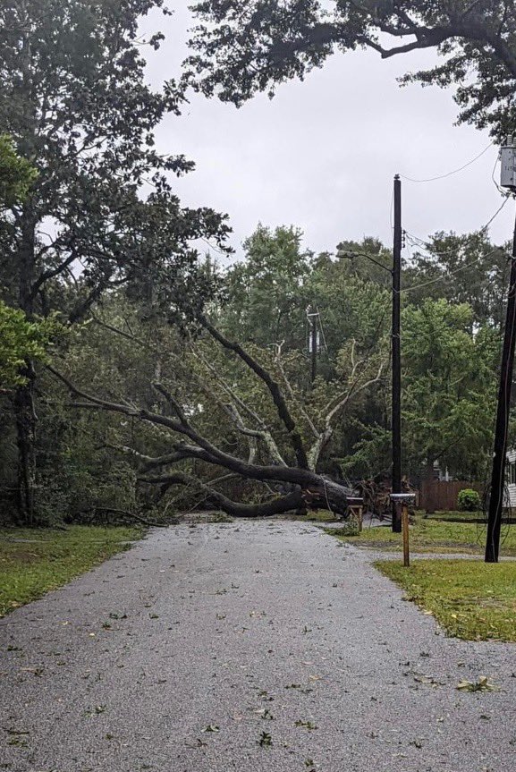 Dominion Energy on Twitter "Downed trees like this one are causing