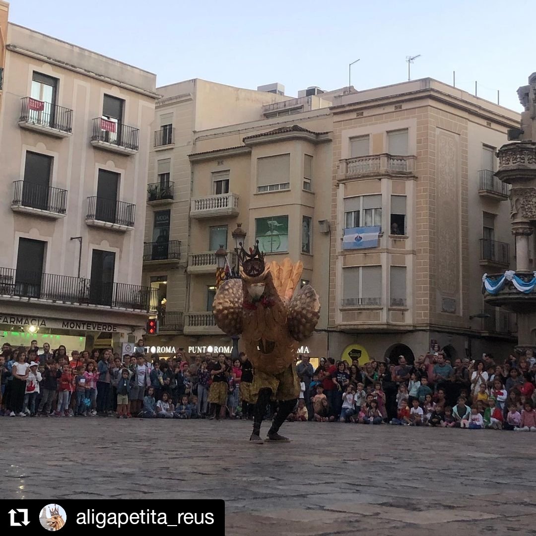 aliguesdecat's tweet photo. #Repost @aligapetita_reus
𝐦𝐢𝐬𝐞𝐫𝐢𝐜ò𝐫𝐝𝐢𝐚 𝟐𝟎𝟐𝟐
Un altre seguici petit de la Coia al sàc! 
I que bé ens ho seguim passant
 #coia2022 #aligapetita #seguicipetit #cracreus
#AligaPetitaDeReus #AligaDeCatalunya #AliguesDeCatalunya #Aliga #Aguila #Aguiles #Aligues #Bestiari https://t.co/41xTSs2UcM