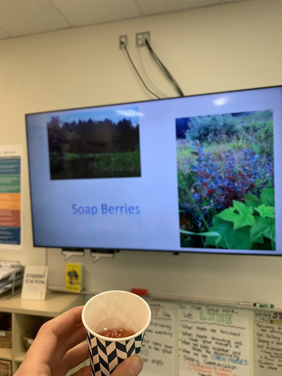 Megan Pakulak tweet media