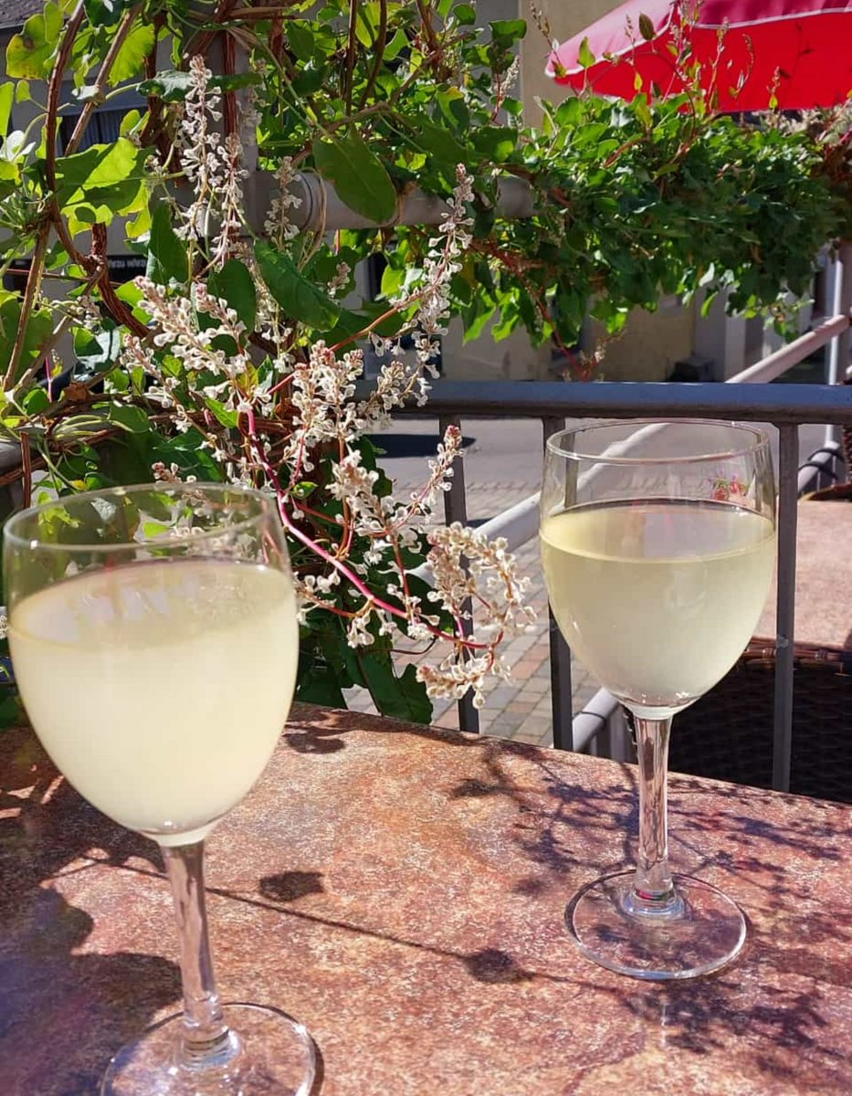 Jetzt durch Weinanbaugebiete wandern ... da locken nicht nur die schönen Wege und Aussichten, wie hier auf dem Moselsteig rb.gy/e0vhvd