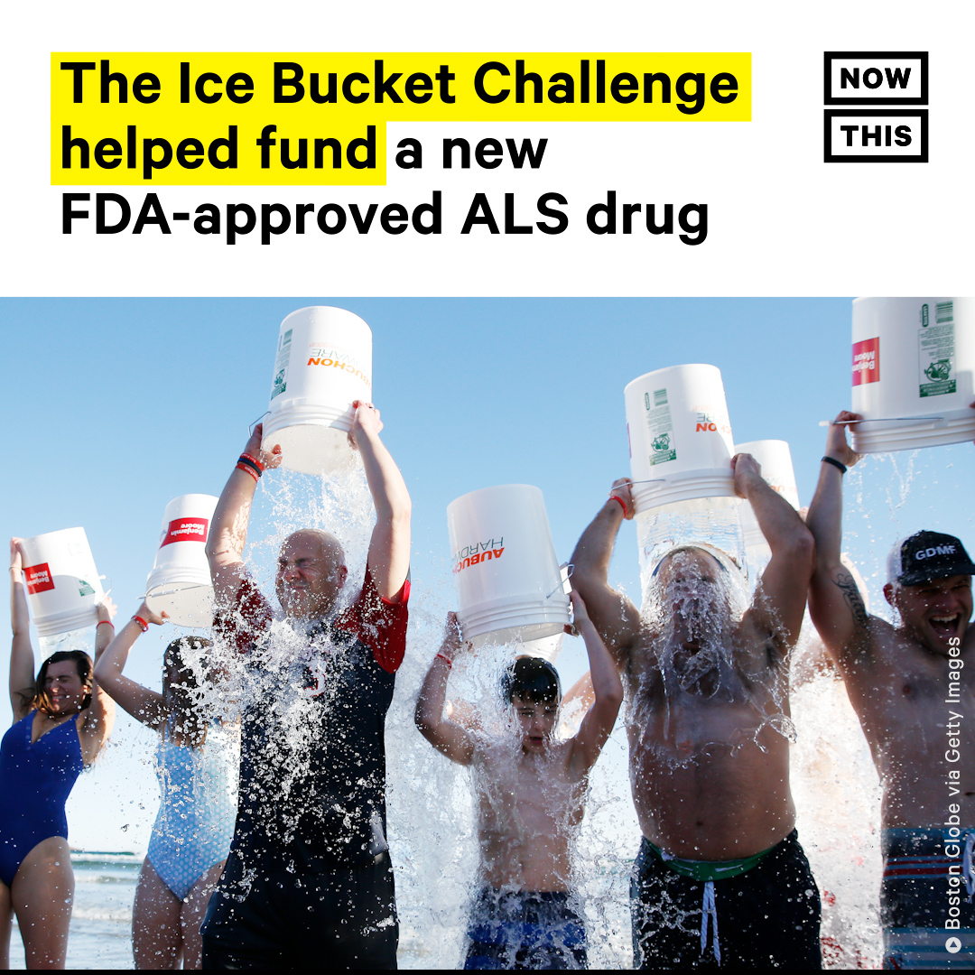 NowThis Impact tweet media