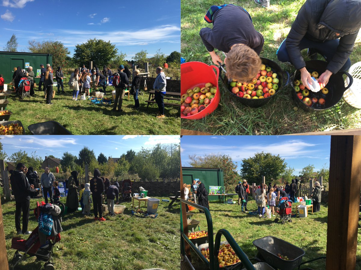 Saffron Acres tweet media