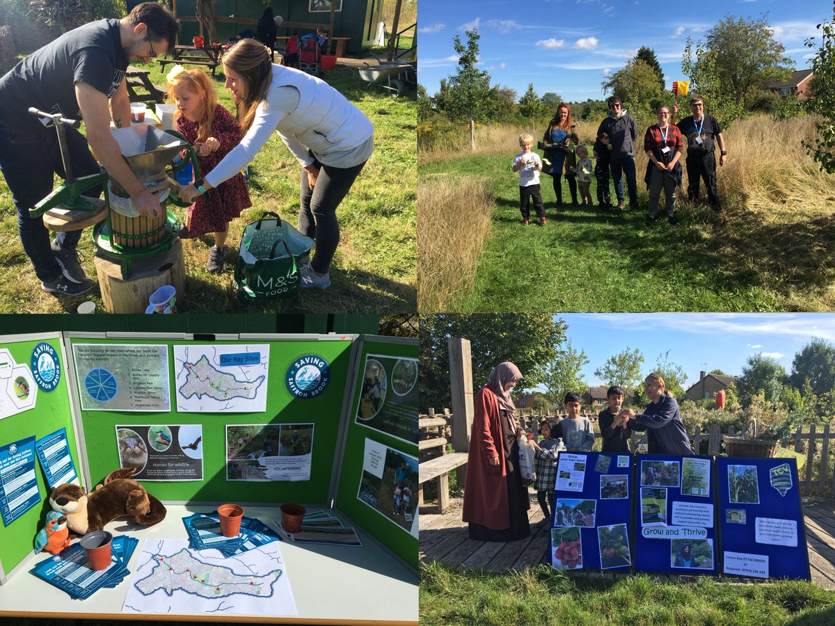 Saffron Acres tweet media