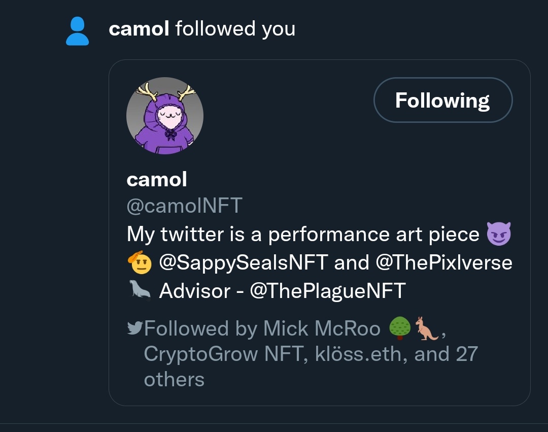 The great <a href="/camolNFT/">camol</a> seal of the NFT memespace has followed us 🤝🤝🤝 will he join the Quasi Squad?!¡