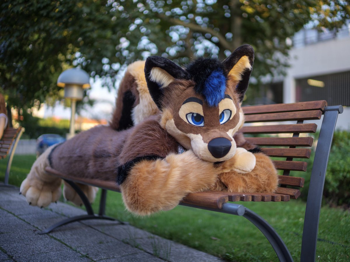 Xander Wusky🇳🇱 bark! tweet media