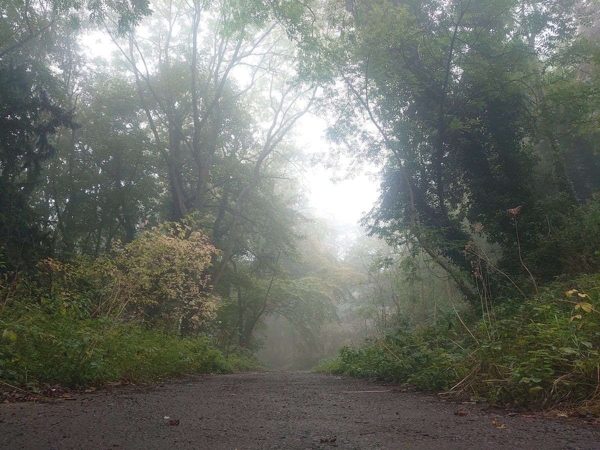 Ryan Walker tweet media