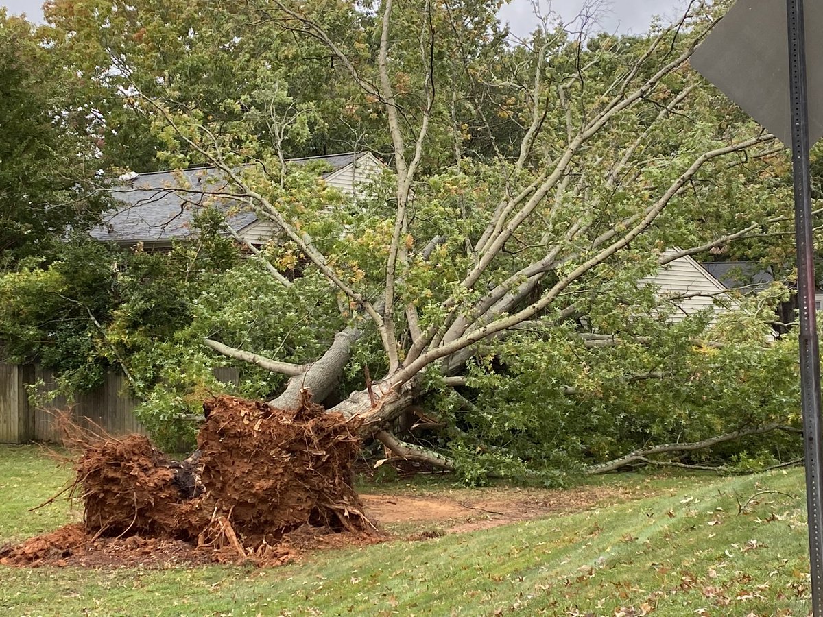 bhallphotog's tweet photo. Tree down on a townhome on Regents Park Lane in @greensborocity …@WFMY @wfmyweather @TimBuckleyWX @gracesholland https://t.co/0qwOm5H2sF