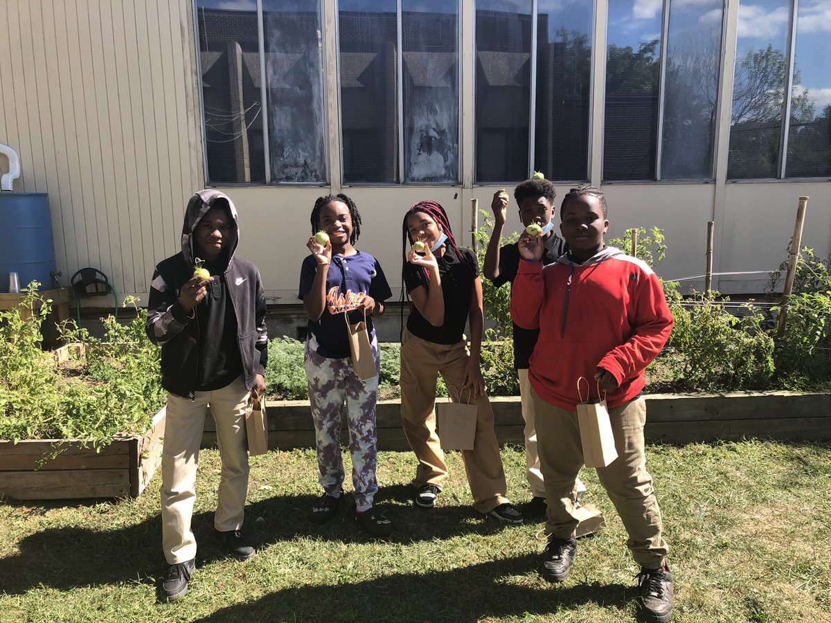 Another successful harvest ! <a href="/Asbury_ParkSD/">Asbury Park Schools</a> <a href="/PrincipalPJM/">Medina</a> 🥳👍