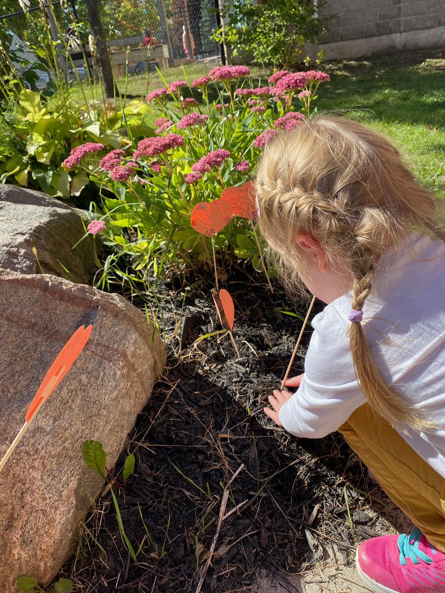 MundysBayPS's tweet photo. Our youngest take time to plant some love for all children. #TruthAndReconciliation #everychildmatters #bethechange @SCDSB_Schools https://t.co/BOrPIdrRO6