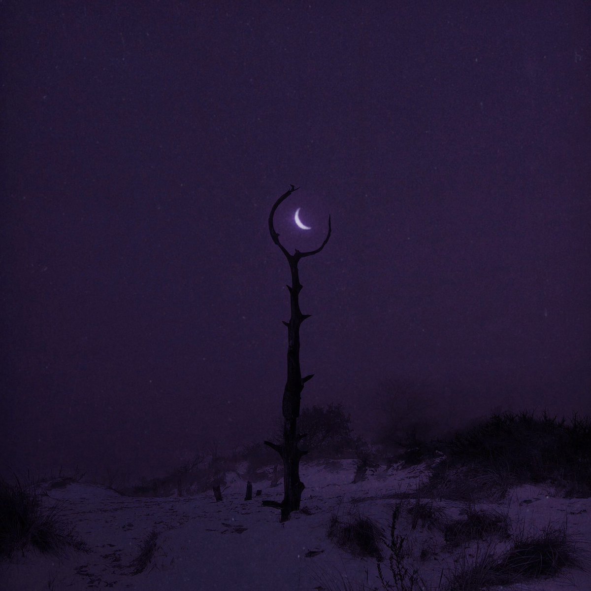 “ 𝕿𝔥𝔢𝔯𝔢 𝔞𝔯𝔢 𝔫𝔬 𝔱𝔞𝔩𝔢𝔰 𝔬𝔣 𝔥𝔬𝔫𝔬𝔯 𝔱𝔬 𝔟𝔢 𝔣𝔬𝔲𝔫𝔡 𝔥𝔢𝔯𝔢. ”

• Verseless OC – Canon, OC, M-S, MV-Friendly

• 21+ Mun/Muse / 8+ yrs. of RP XP / MDNI – 18+

• 𝓒𝓦: occasional dark &amp; mature themes – 𝘚𝘦𝘭𝘦𝘤𝘵𝘪𝘷𝘦 w/ Circle &amp; lewd DMs

• ♡ + ↺ ?