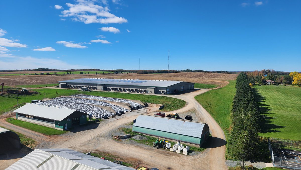 Topping up the silo, beautiful day! #BFL