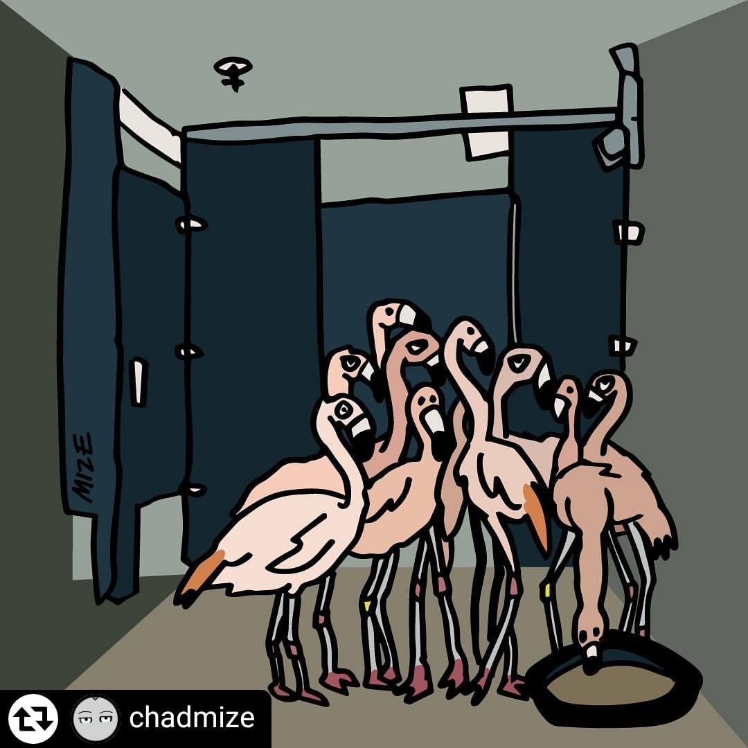 Our flamingos are back in their outdoor habitat, but we are so glad to have their time sheltering from #HurricaneIan in the ladies restroom documented forever by @mrchadmize. What a great illustration of our staff member's photograph! We hope to reopen this Saturday. 👍🏽🦩
