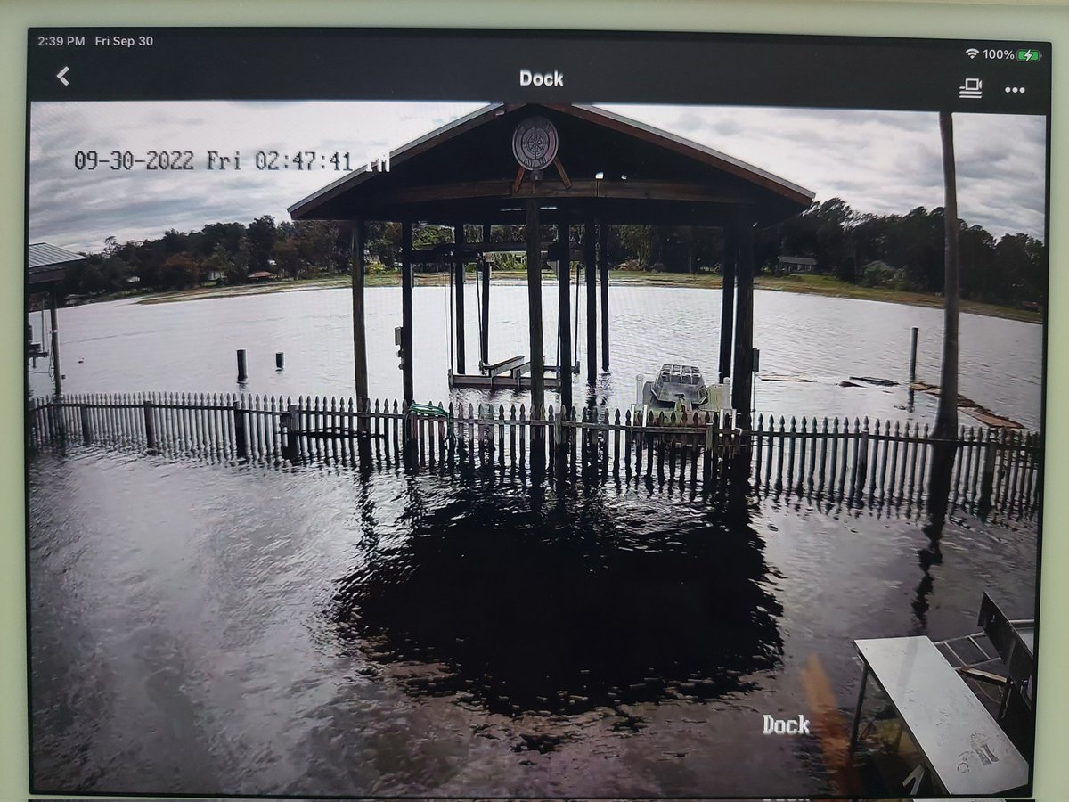 MooseTheCreekDog tweet media