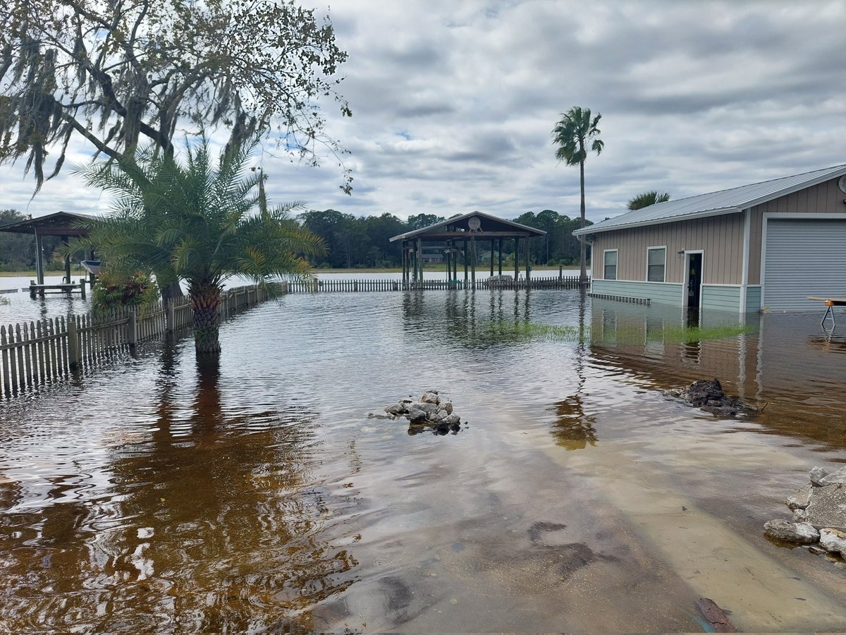 MooseTheCreekDog tweet media