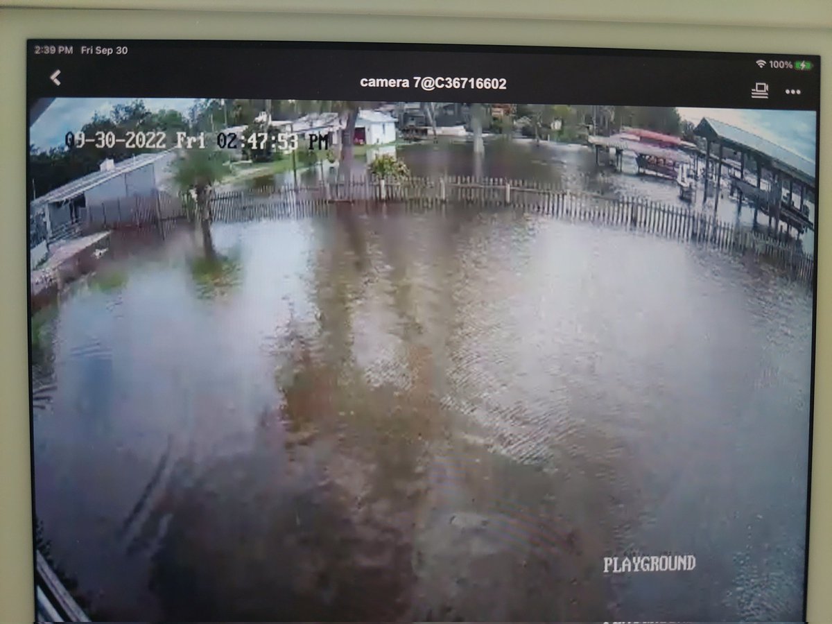 MooseTheCreekDog tweet media