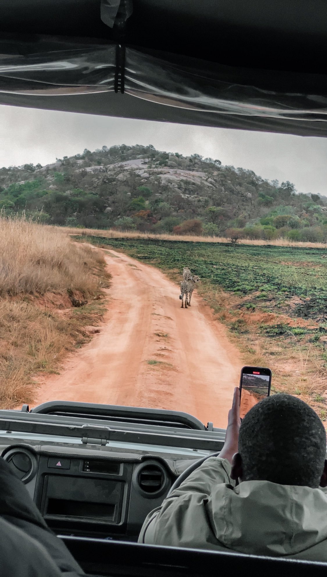 Kgosi M On Twitter https t co pCNu5eHwIY Twitter kgosi-m-on-twitter-https-t-co-pcnu5ehwiy-twitter