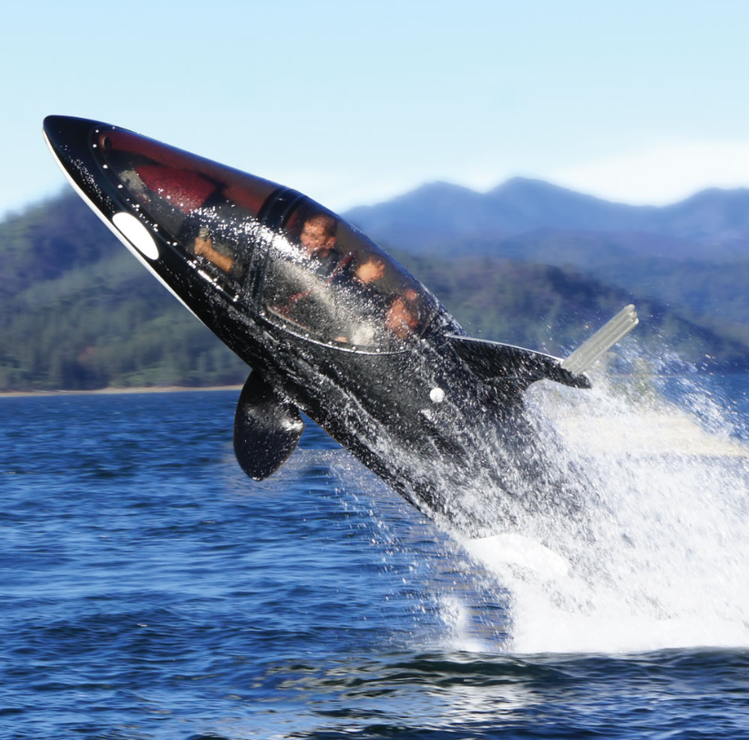 Stupid Stuff Rich People Buy tweet media